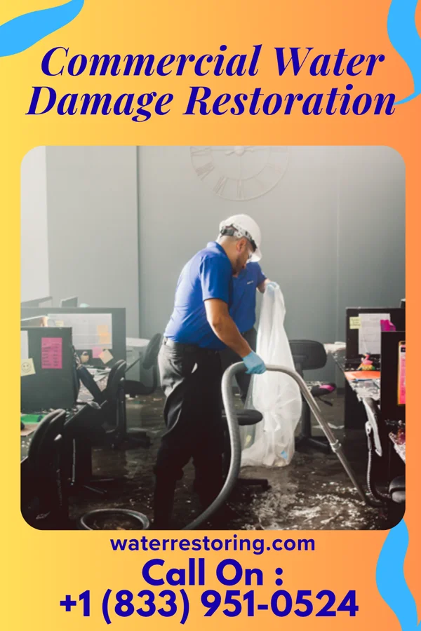 Commercial Water Damage Restoration in San Jon, NM
