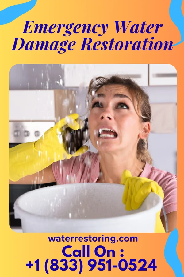 Emergency Water Damage Restoration in San Jon, NM