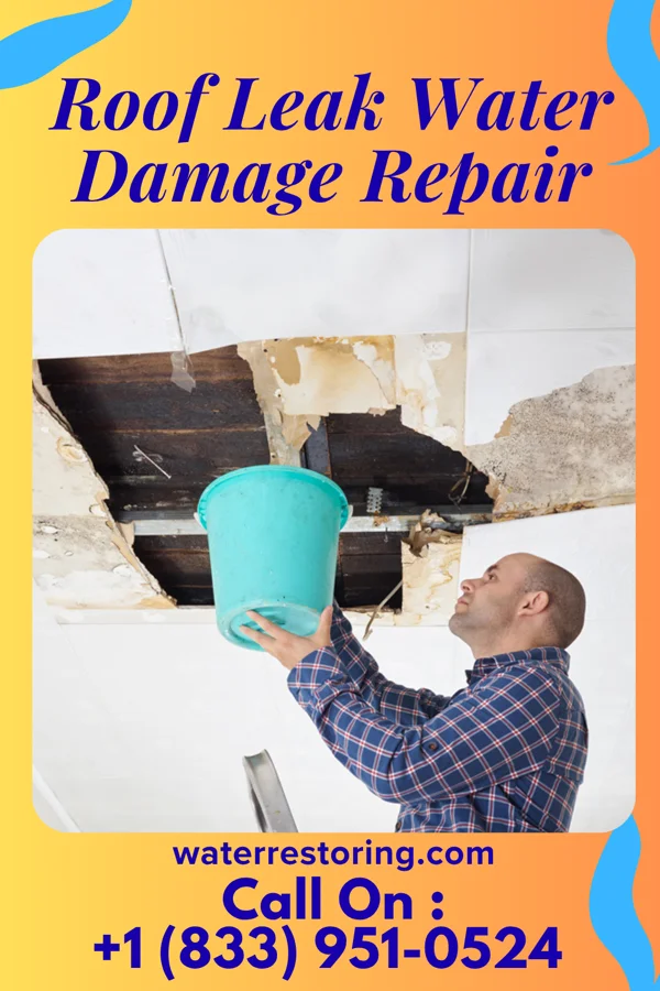 Roof Leak Water Damage Repair in San Jon, NM